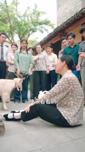 重生88致富路从二道贩子开始（103集）在哪里看