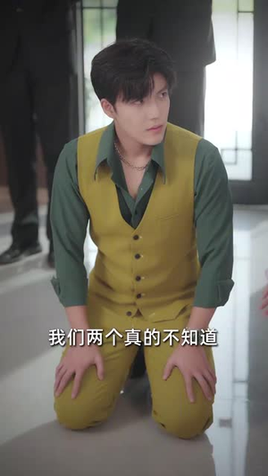 二嫁甜妻她不好惹 (83集) 短剧介绍