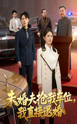 未婚夫抢我车位我直接退婚（41集）在线看免费版