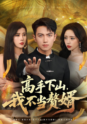 高手下山我不当赘婿（66集）精彩短剧免费看