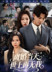 离婚当天世上再无我（60集）女频短剧推荐