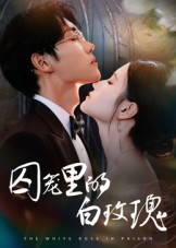 囚笼里的白玫瑰（59集）精彩短剧分享。