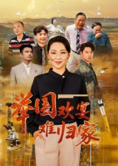 举国欢宴难归家（40集）海量资源免费看