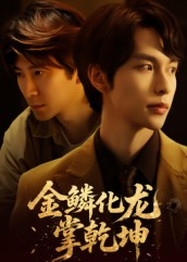 金lin化龙掌乾坤（54集）短剧在线更新