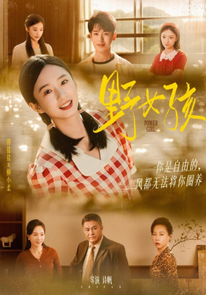 野女孩（91集）最热短剧推荐