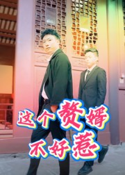 这个赘婿不好惹（27集）精彩短剧免费看