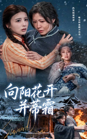 向阳花开并蒂霜（60集）爆款热门短剧