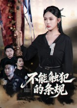 不能触犯的条规（50集）精彩的短剧