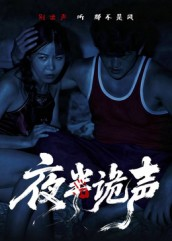 夜半诡声（28集）短剧推荐分享