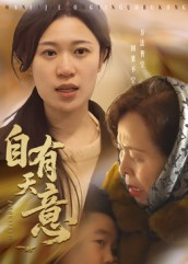 自有天意（35集）热门短剧来袭