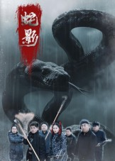 蛇影（25集）全集免费