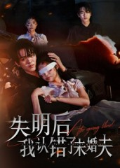 失明后我认错了未婚夫（34集）全集在线看