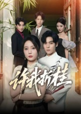 许我折桂（70集）在线免费观看