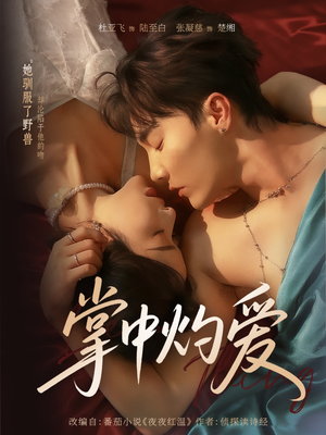 掌中灼爱（62集）精彩好看的短剧