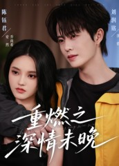 重燃之深情未晚(70集) 重燃之深情未晚(70集)男主角是谁