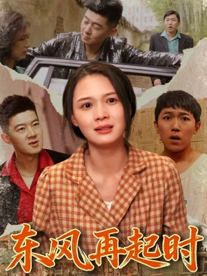 东风再起时（112集）评价怎么样