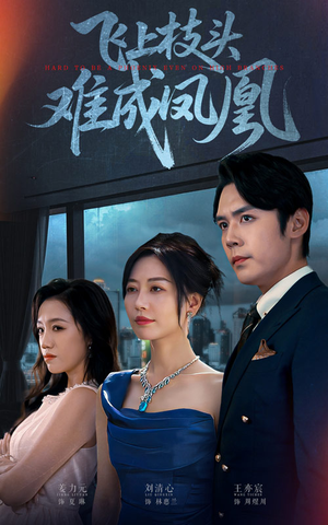 飞上枝头难成凤凰（47集）最后的大结局