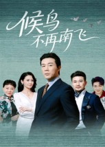候鸟不再南飞（80集）短剧排行榜