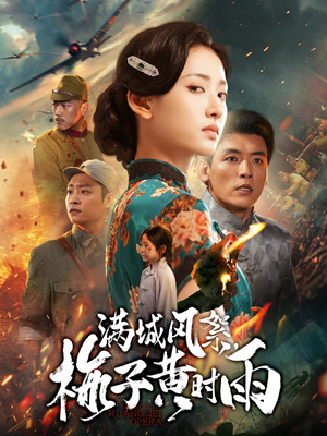 满城风絮梅子黄时雨（58集）短剧小说在线看