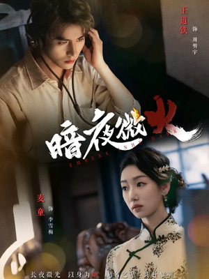暗夜微火（80集让你一口气看完