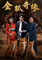 金狐奇缘(42集) 金狐奇缘(42集)番茄短剧免费看