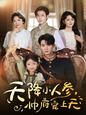天降小人参，帅府宠上天（83集）短剧分享剧集