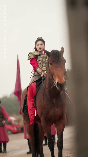 雁字回时戍角起（49集）短剧太精彩