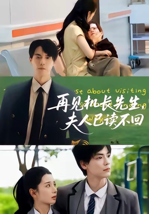 再见机长先生夫人已读不回（62集）口碑之选免费看