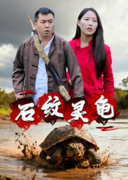 石纹灵龟（30集）番茄短剧看全集
