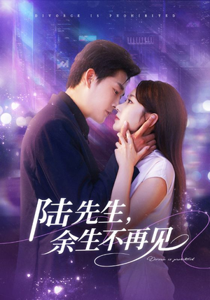 陆先生，余生不再见（88集）免费观看全集