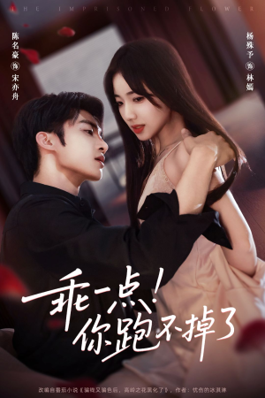 乖一点！你跑不掉了（80集）视频在线看