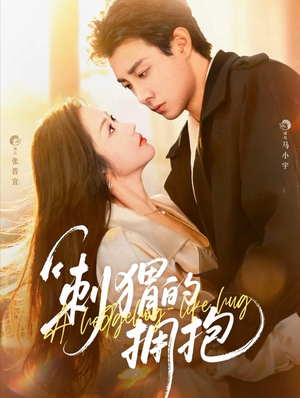 刺猬的拥抱(71集) 刺猬的拥抱(71集)解说