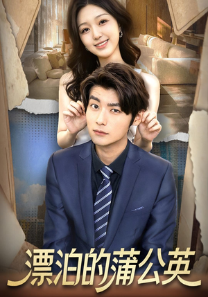 漂泊的蒲公英(60集) 漂泊的蒲公英(60集)全集完整版