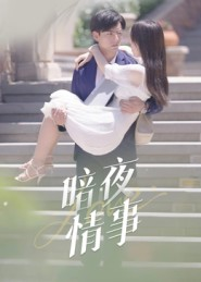 暗夜情事（100集）免费短剧全集看