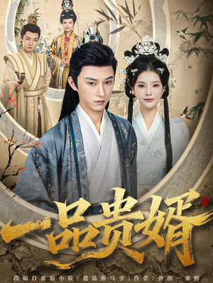 一品贵婿（80集）推荐热门短剧