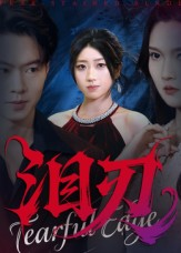 泪刃（40集）最后一集