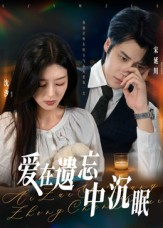 爱在遗忘中沉眠(62集) 爱在遗忘中沉眠(62集)排行榜前十短剧