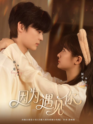 因为遇见你(79集) 因为遇见你(79集)百度网盘资源