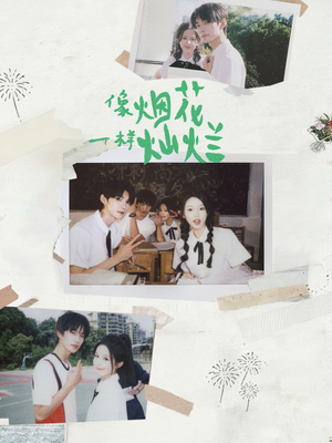 像烟花一样灿烂(60集) 像烟花一样灿烂(60集)评价怎么样