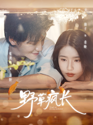 野草疯长（71集）精彩短剧热播中