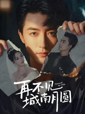 再不见城南月圆(60集) 再不见城南月圆(60集)一口气看完