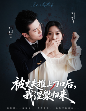 复婚抱歉我只谈判不谈情（65集）不用花钱看全剧