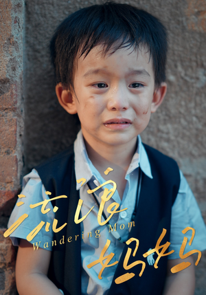 流浪妈妈(30集) 流浪妈妈(30集)热门短剧榜单