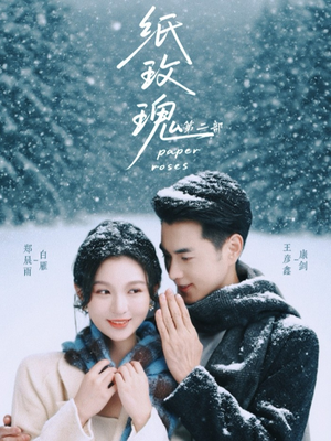 纸玫瑰第二部(80集) 纸玫瑰第二部(80集)免费观看
