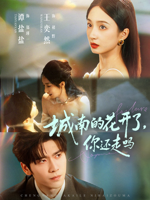 城南的花开了，你还走吗（84集）1-102集