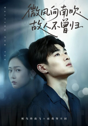 微风向南吹,故人不曾归(72集) 微风向南吹,故人不曾归(72集)男主角是谁
