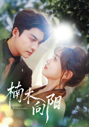 楠木向阳（70集）古代短剧推荐