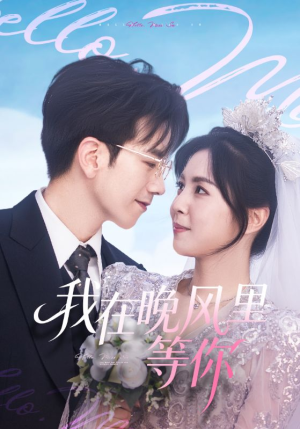 我在晚风里等你（65集）追短剧看全集