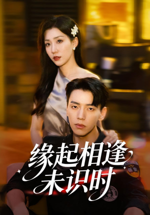 缘起相逢未识时(57集) 缘起相逢未识时(57集)免费在线看全集