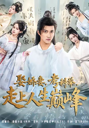娶娇妻，考科举，走上人生巅峰（80集）免费看